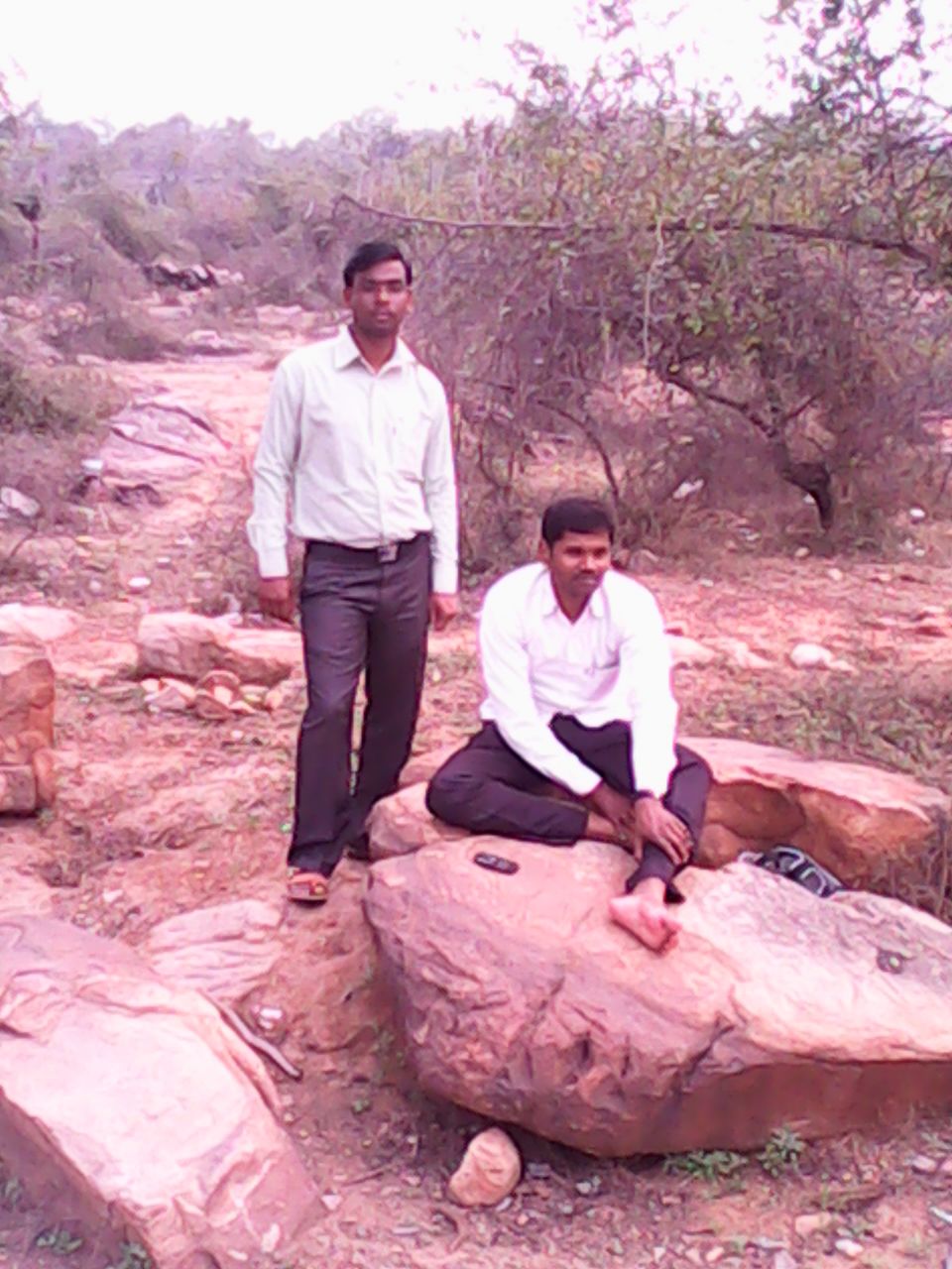 Government Polytechnic Basti